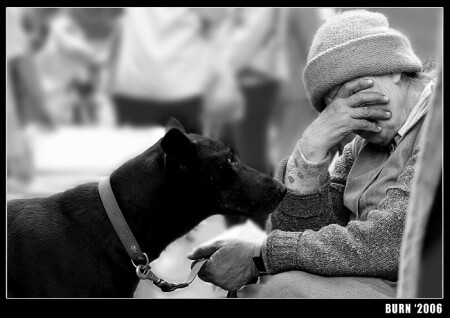 Безмолвная мольба...