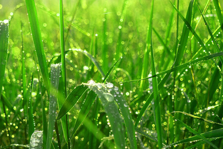 после дождичка в четверг