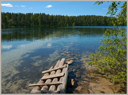 Ноев ковчег