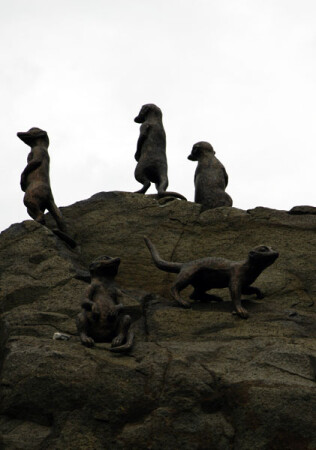 Братья мелкие