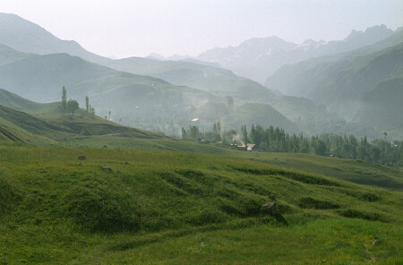 Альпийский луг