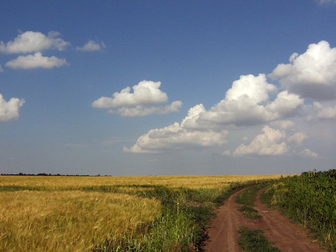 Поле