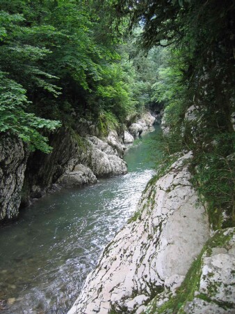 Пойдем со мной...