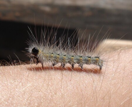 Утренняя зарядка