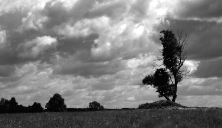 Буря мглою и всё такое...