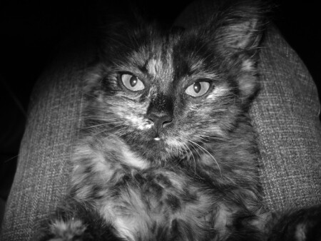 Гипнотизирует...