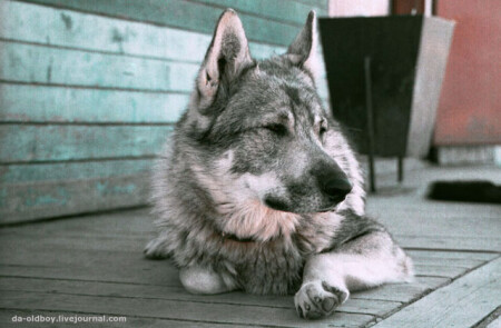 глядя на закат