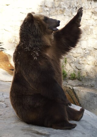 Приветствую!