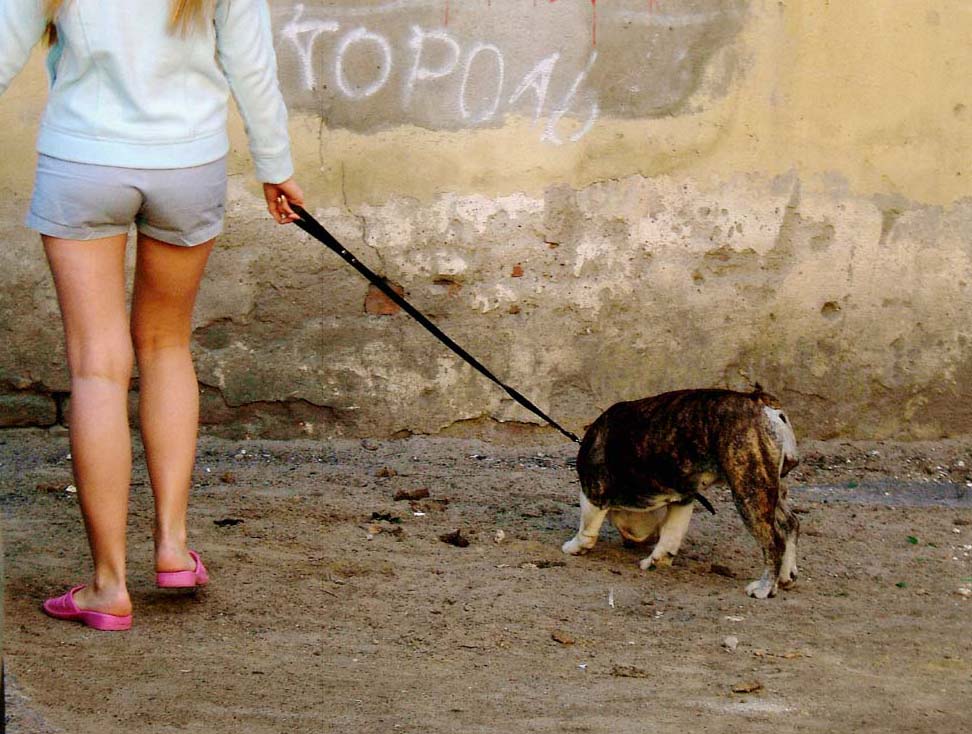 король