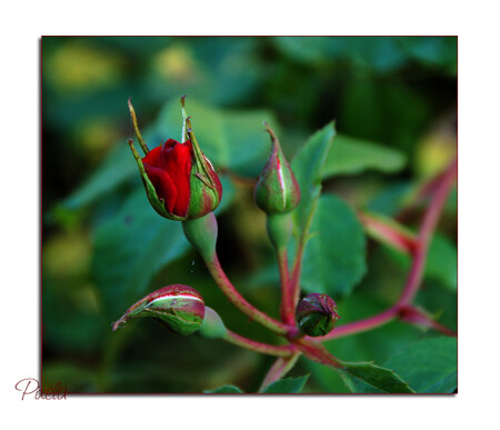 Eще все впереди...