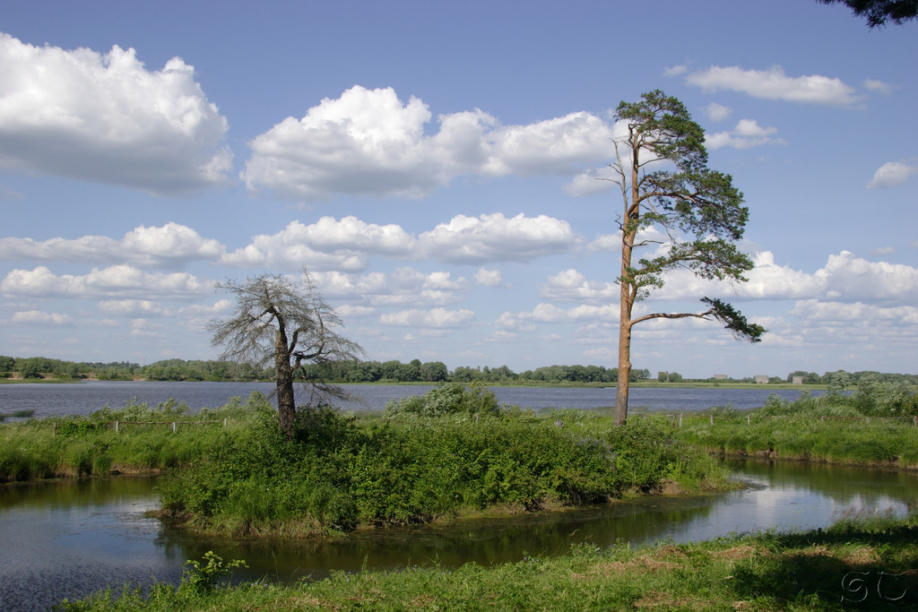 Размолвка