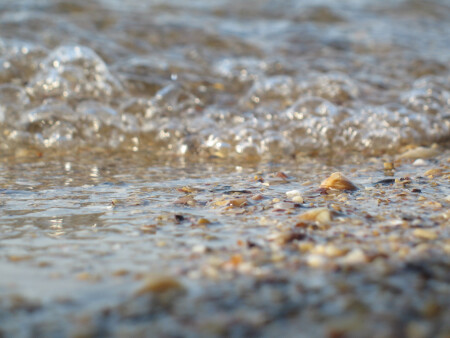 Мокрые мечты