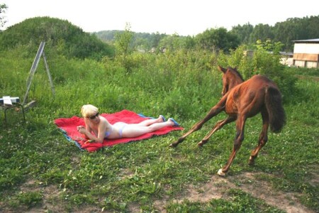 не придумала