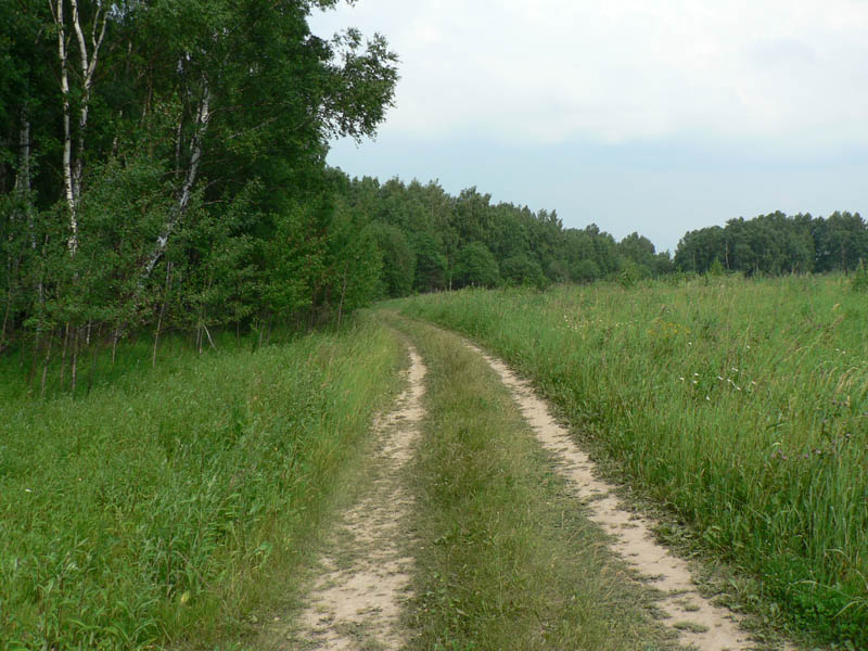 дорога в никуда