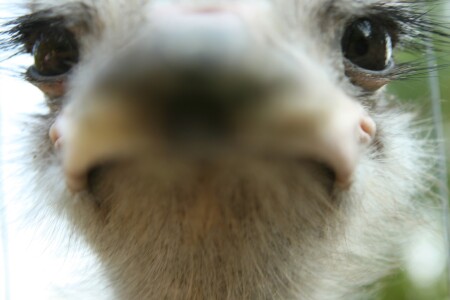 Давайте ближе познакомимся !!