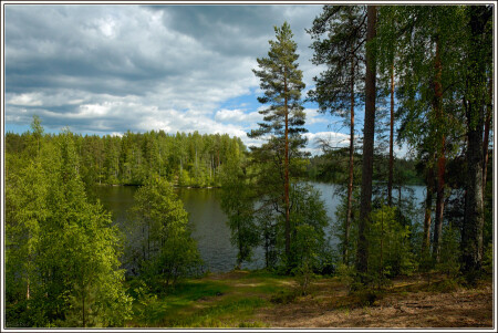 Лесное озеро