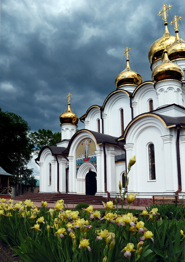 Перед грозой