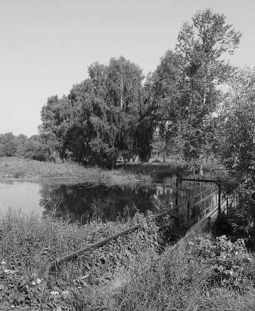 Утро на Клязьме