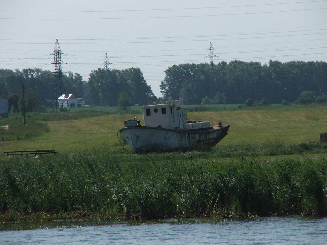 Приплыли...