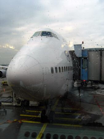 Слезы расставания