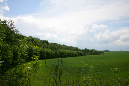 Властелин Колец