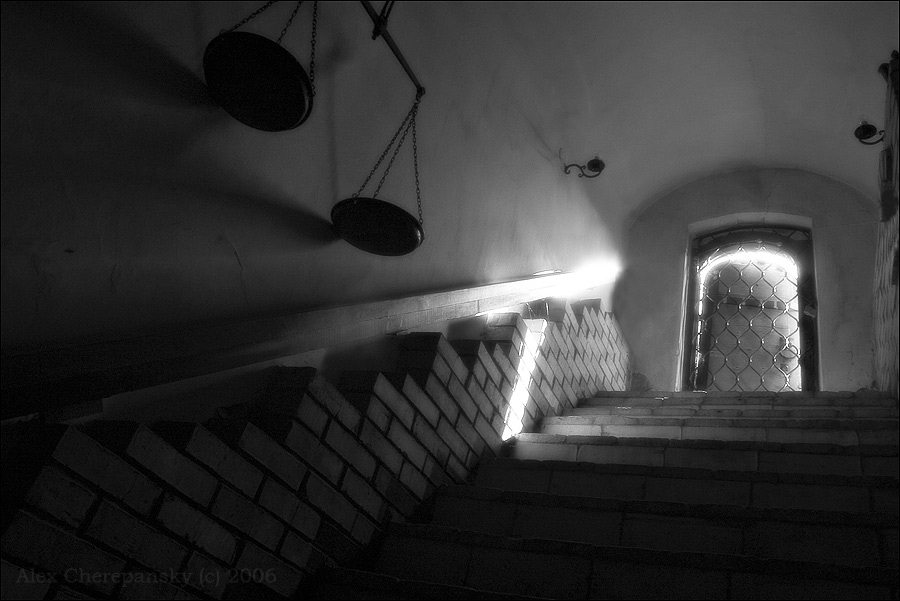 back to the light