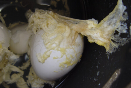 МТС - все просто...