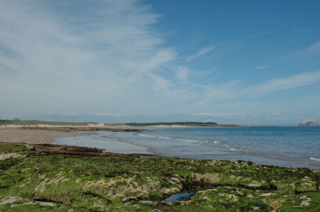 Шотландское море