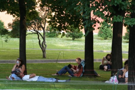 каждому дереву по паре!