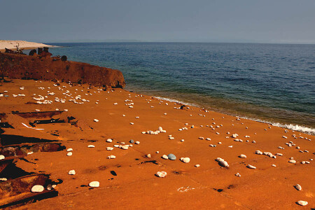 Каменный узор моря