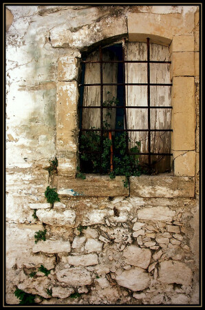 Window