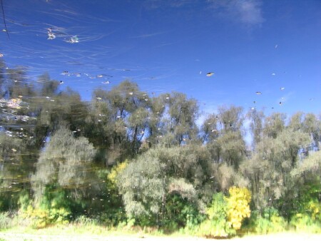 Безусловный рефлекс