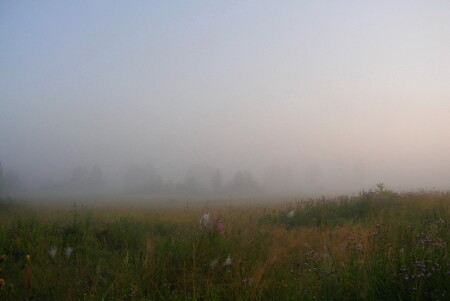 Туман на рассвете