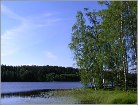 У озера