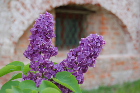 Монастырская тишина...