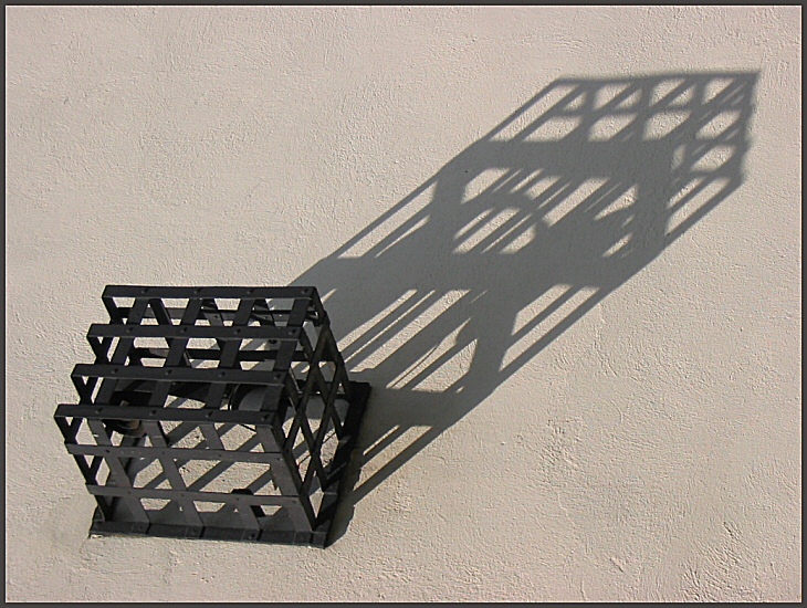 the shadow of freedom