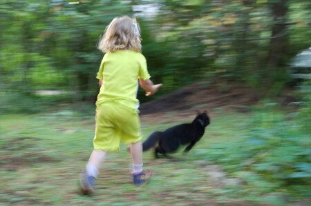 Ну куда же ты?!