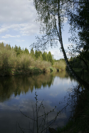 Где-то возле Дубны