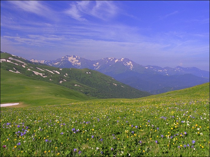 Голубая планета