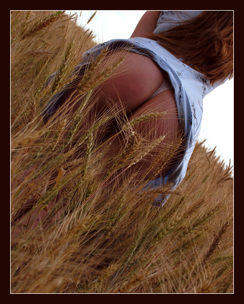Fields of rape