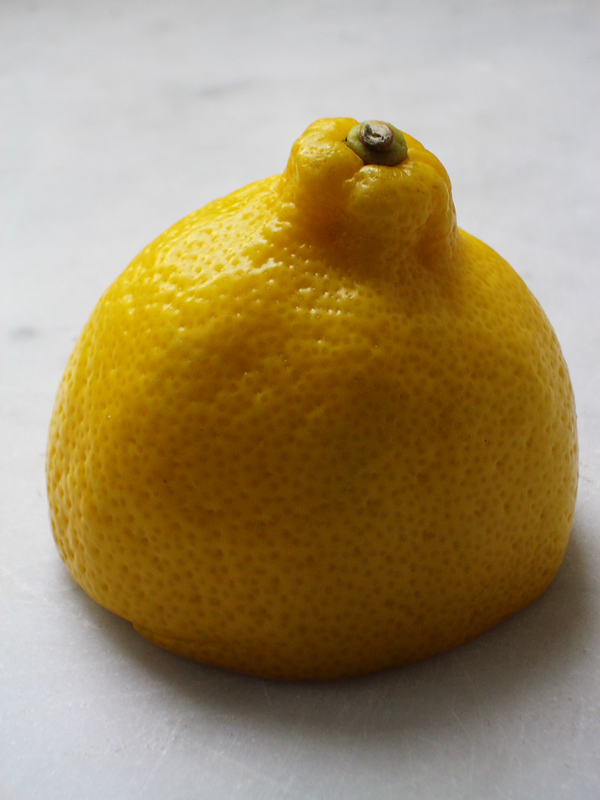 Zitronenbaum