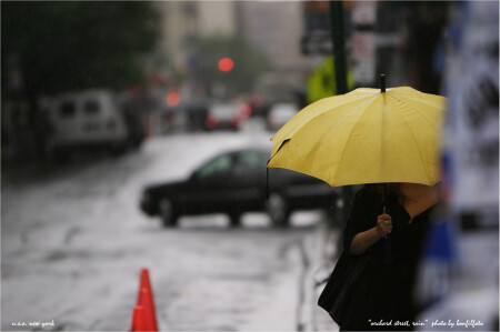 "ORCHARD STREET. AGAIN" NEW YORK