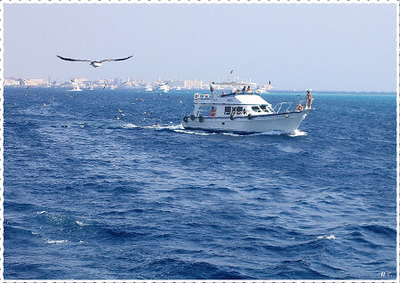 Красное море