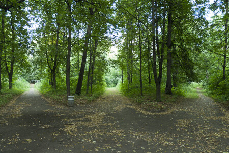 Нескучная развилка