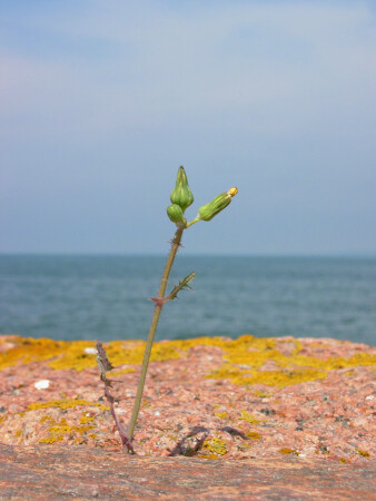 На парапете у моря