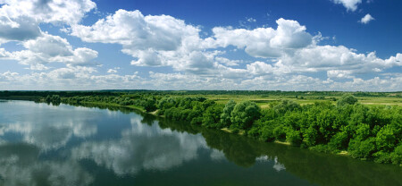 summer landscape
