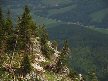 Жизнь на краю