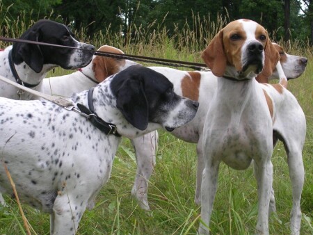 Охота, брат...