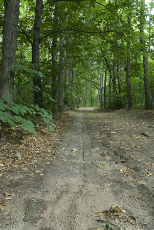 Нескучная тропинка