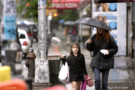"DRIZZLE" NEW YORK